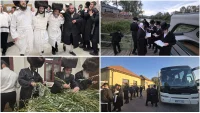 ירח האיתנים בקרעסטיר