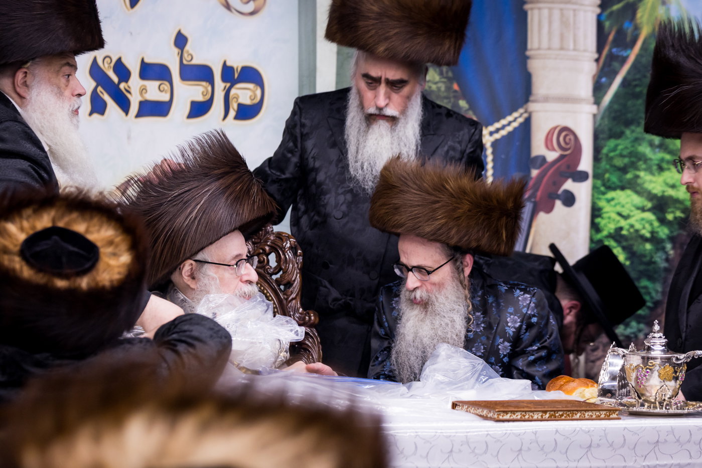 ירח האיתנים בחצה"ק צאנז קלויזנבורג
