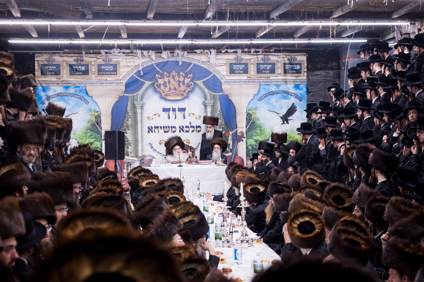 ירח האיתנים בחצה"ק צאנז קלויזנבורג