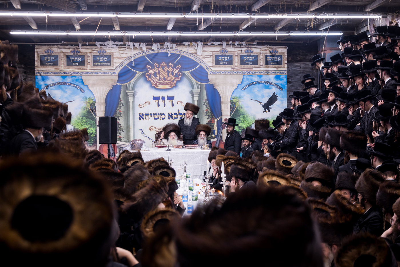 ירח האיתנים בחצה"ק צאנז קלויזנבורג