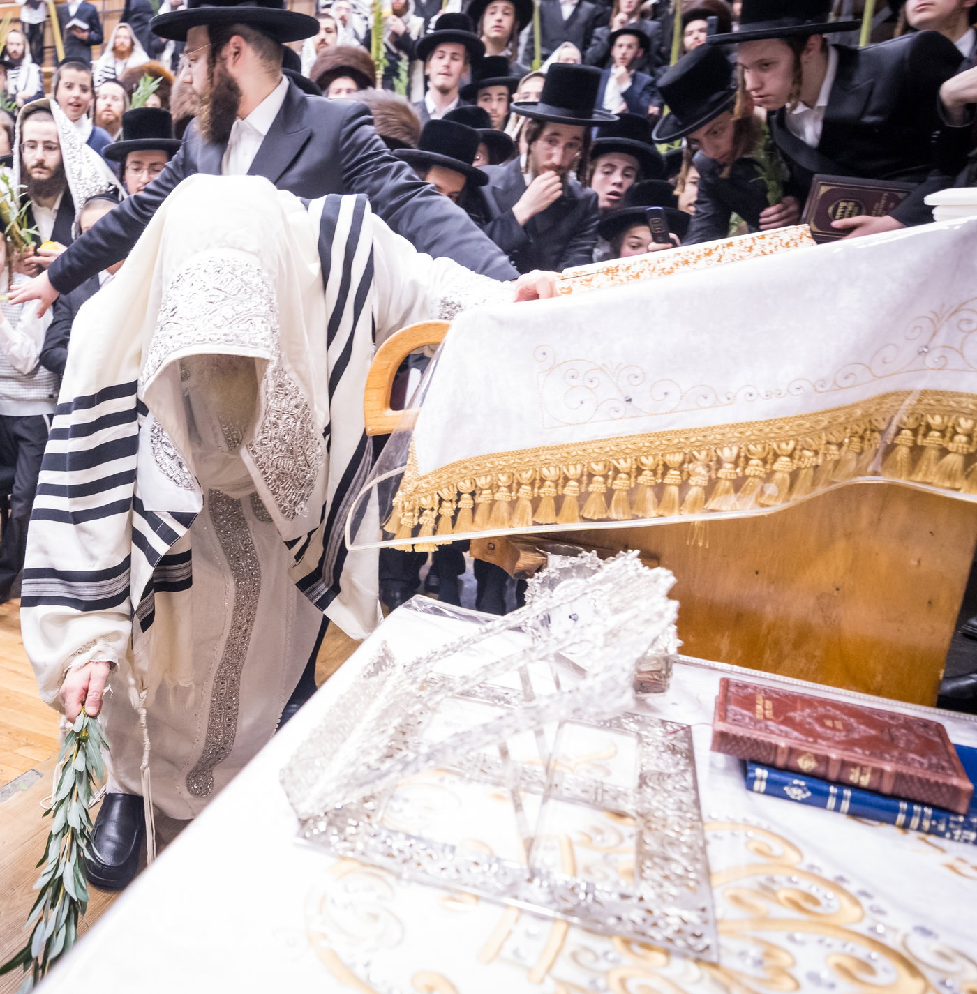 ירח האיתנים בחצה"ק צאנז קלויזנבורג