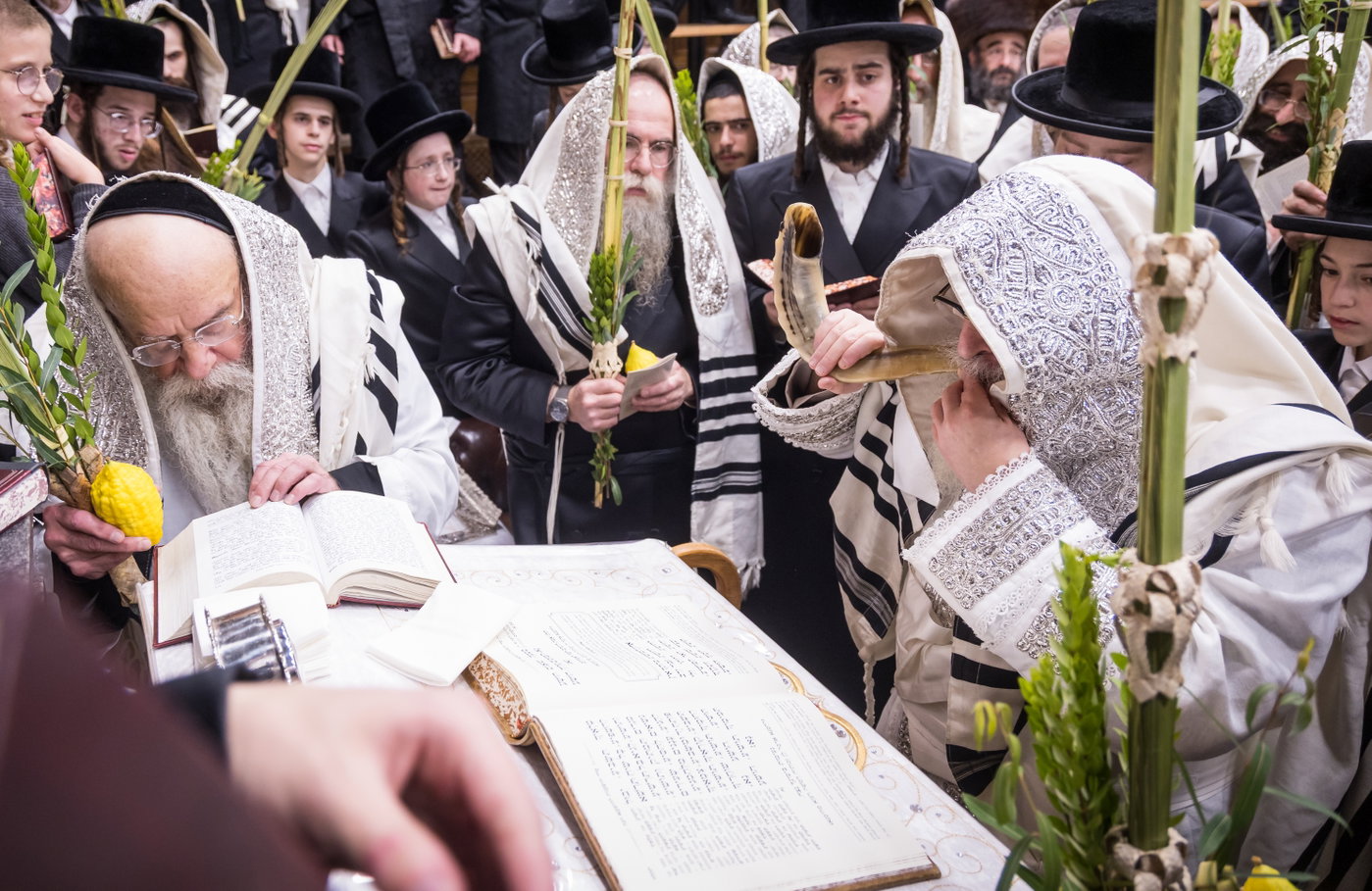 ירח האיתנים בחצה"ק צאנז קלויזנבורג