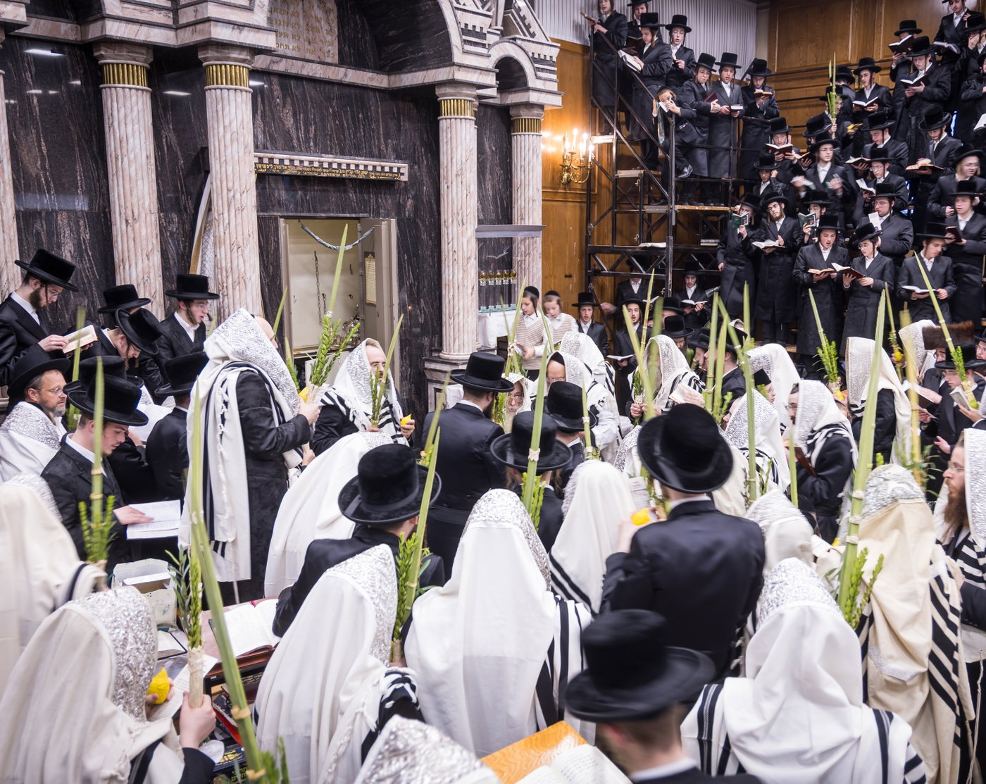 ירח האיתנים בחצה"ק צאנז קלויזנבורג