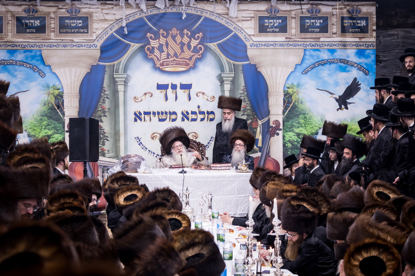 ירח האיתנים בחצה"ק צאנז קלויזנבורג