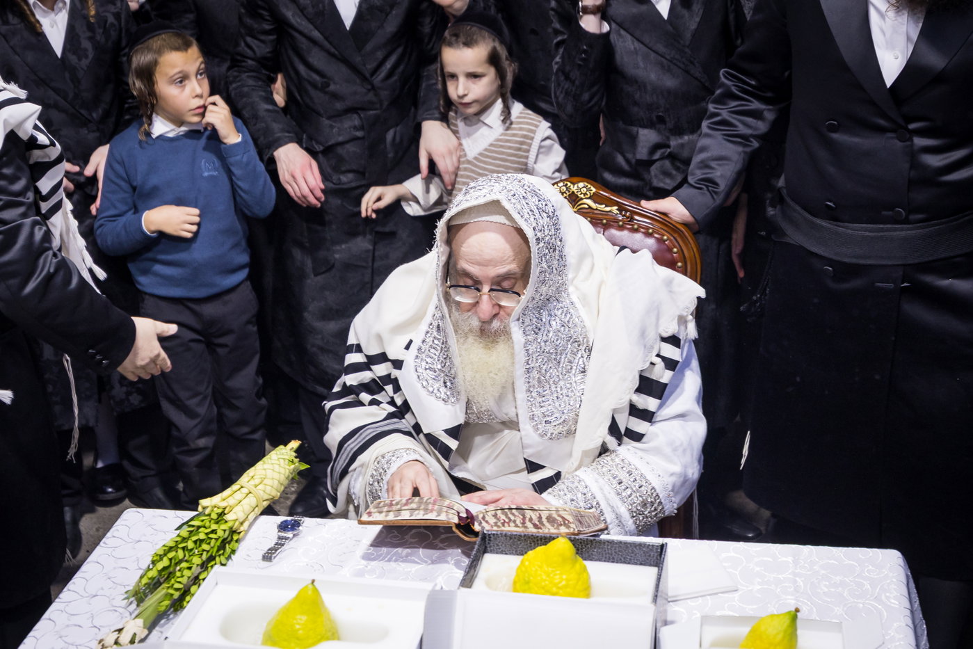 ירח האיתנים בחצה"ק צאנז קלויזנבורג