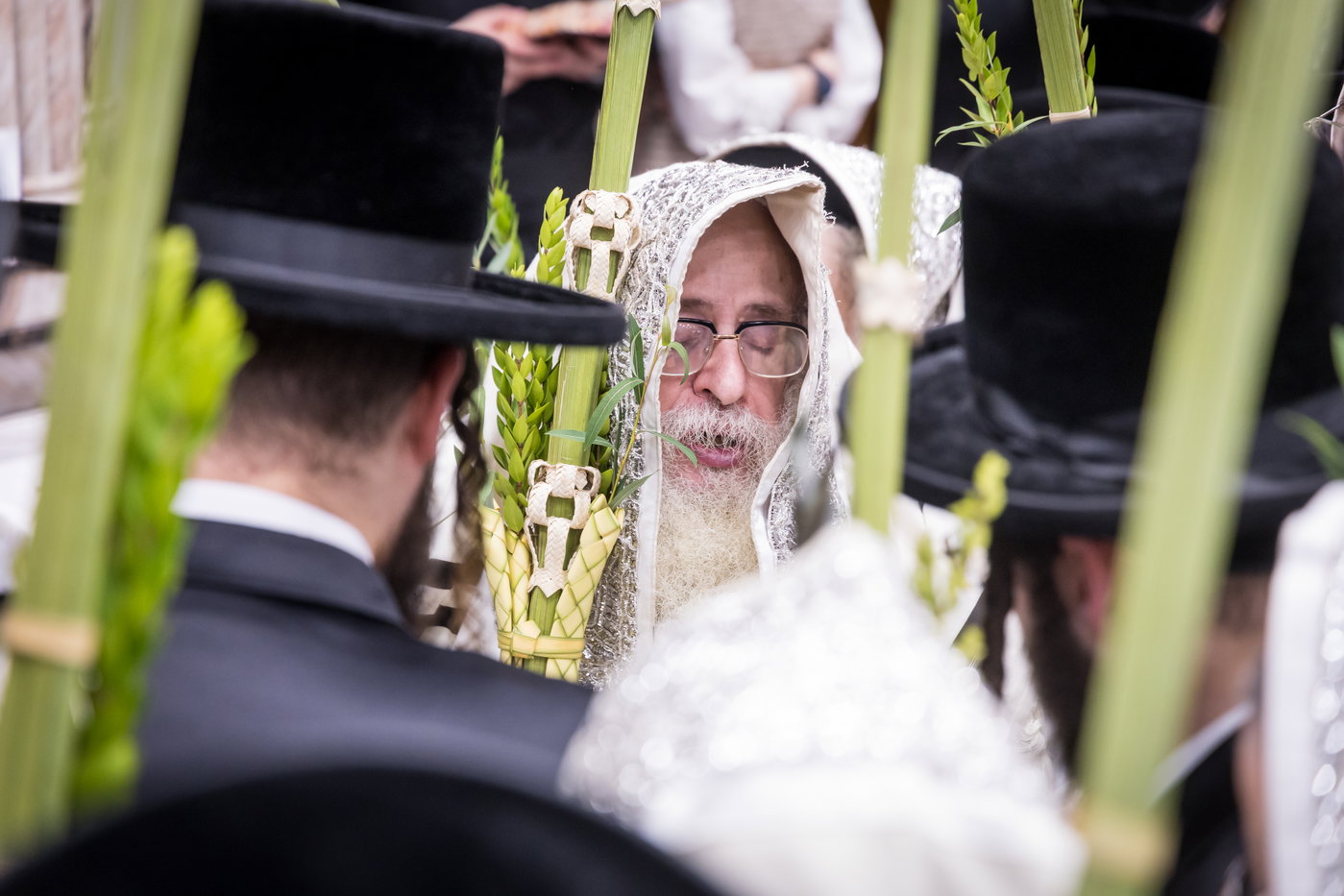 ירח האיתנים בחצה"ק צאנז קלויזנבורג