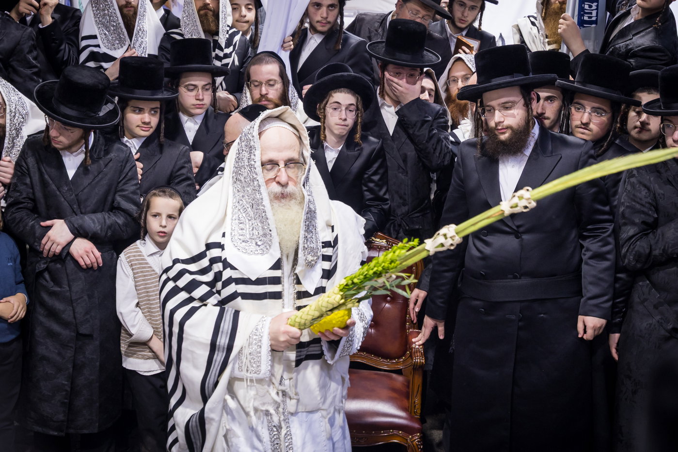 ירח האיתנים בחצה"ק צאנז קלויזנבורג