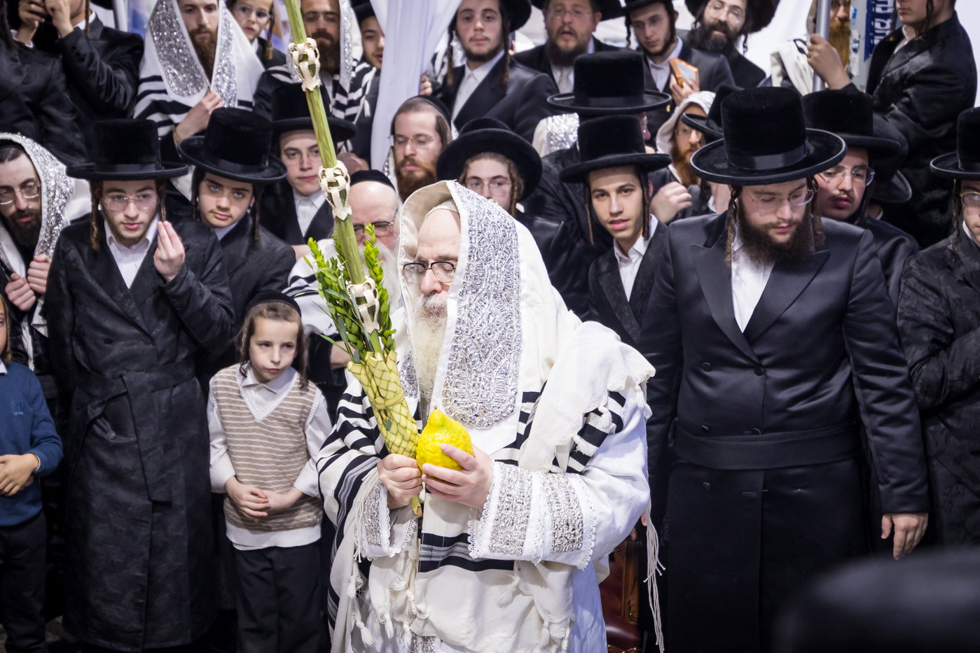 ירח האיתנים בחצה"ק צאנז קלויזנבורג