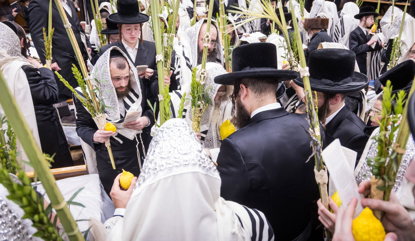 ירח האיתנים בחצה"ק צאנז קלויזנבורג