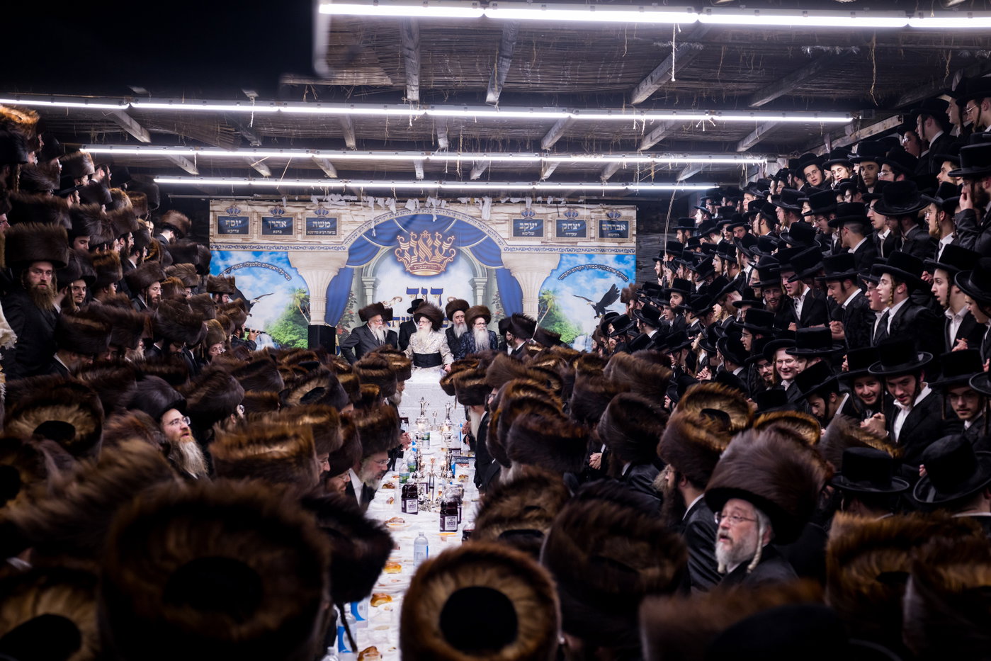 ירח האיתנים בחצה"ק צאנז קלויזנבורג