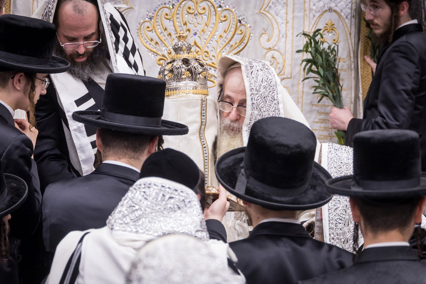 ירח האיתנים בחצה"ק צאנז קלויזנבורג