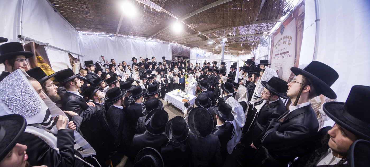 ירח האיתנים בחצה"ק צאנז קלויזנבורג