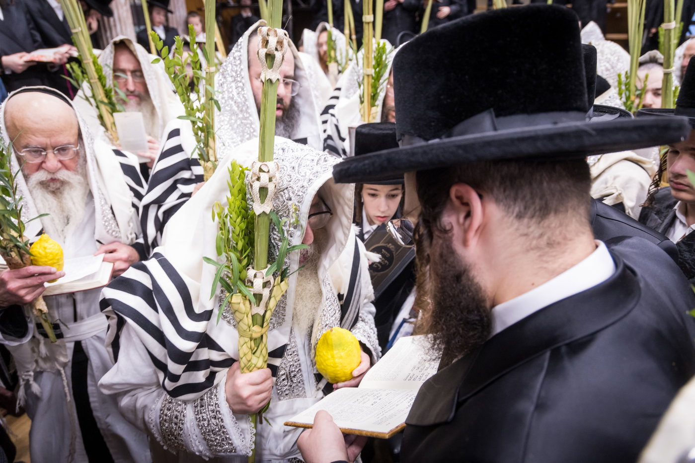 ירח האיתנים בחצה"ק צאנז קלויזנבורג