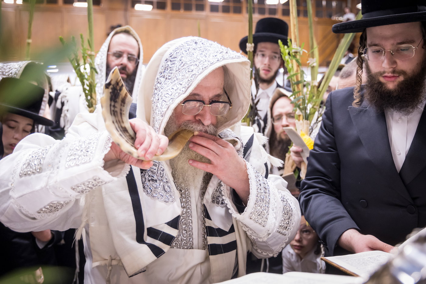 ירח האיתנים בחצה"ק צאנז קלויזנבורג