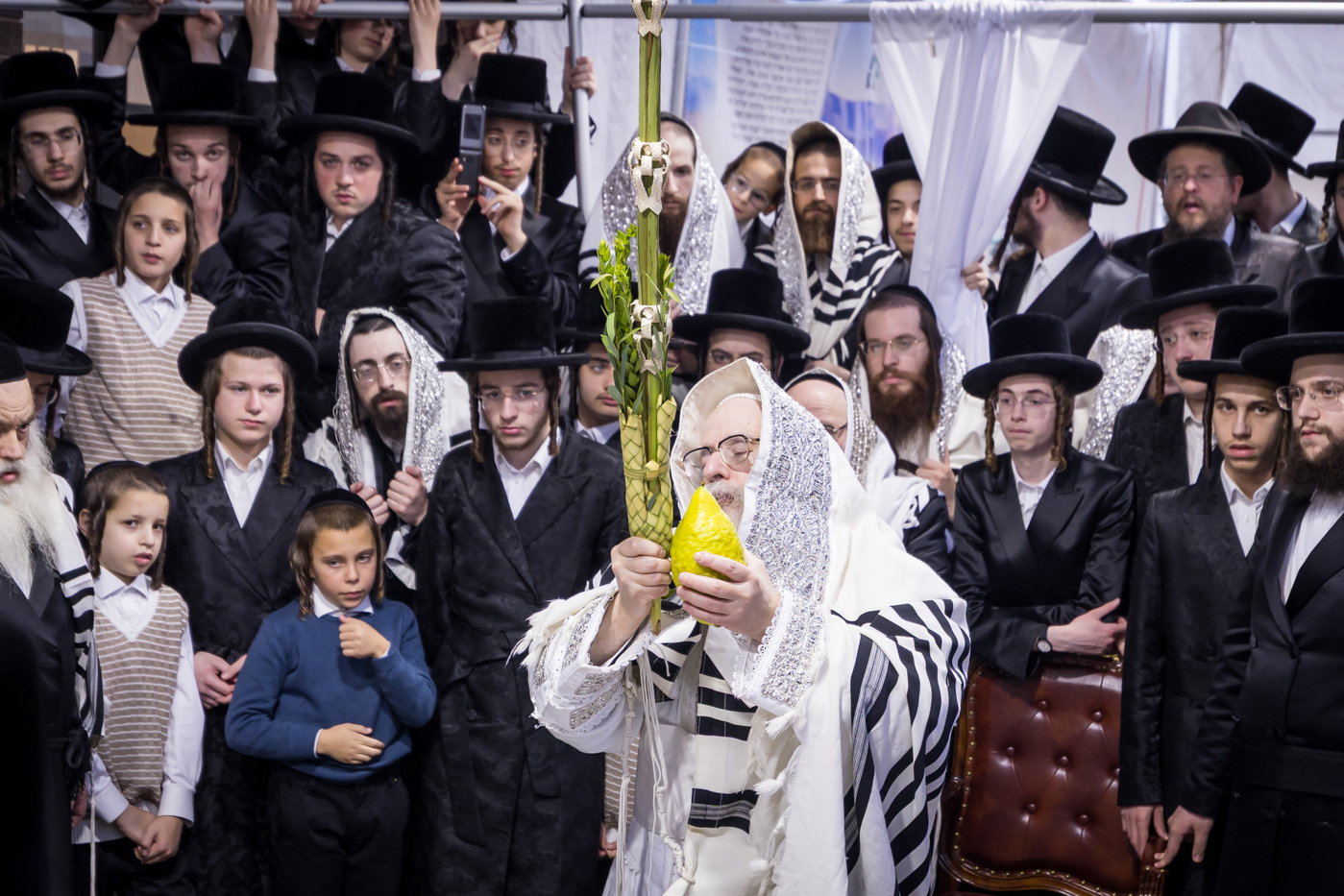 ירח האיתנים בחצה"ק צאנז קלויזנבורג