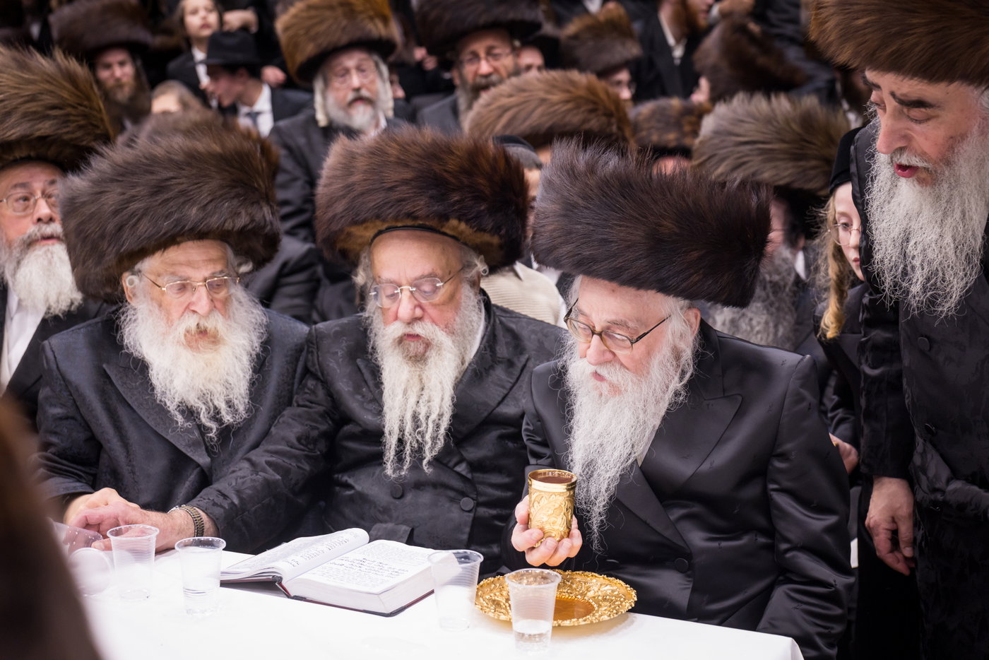 ירח האיתנים בחצה"ק צאנז קלויזנבורג