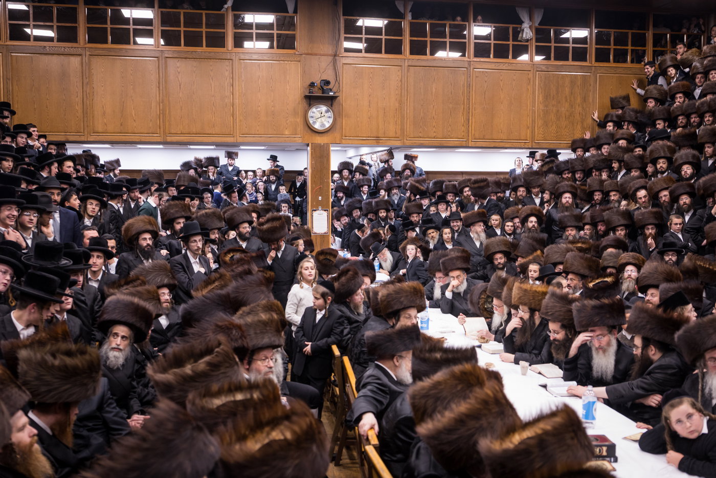 ירח האיתנים בחצה"ק צאנז קלויזנבורג