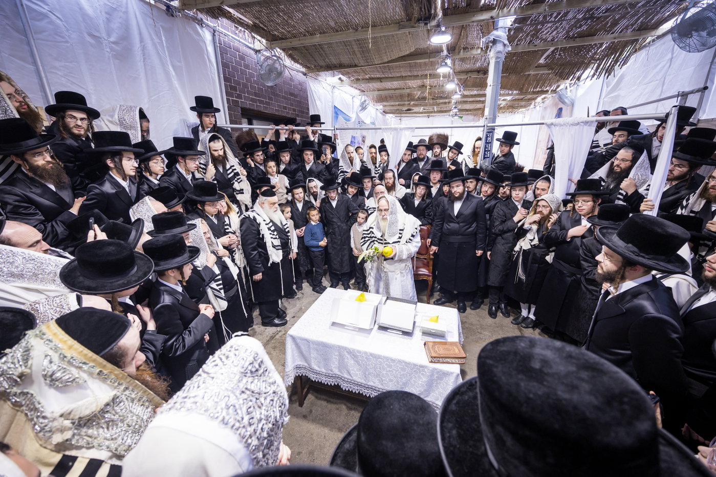 ירח האיתנים בחצה"ק צאנז קלויזנבורג