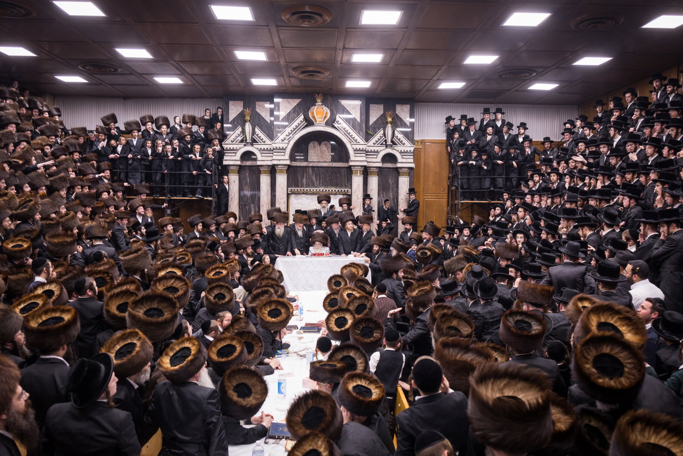 ירח האיתנים בחצה"ק צאנז קלויזנבורג