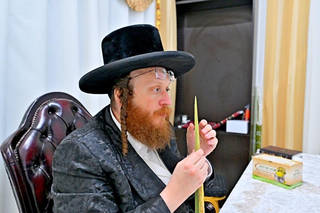סוכות בחצר הקודש ספינקא בית שמש