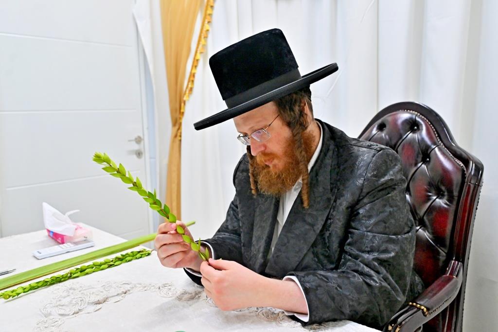 סוכות בחצר הקודש ספינקא בית שמש