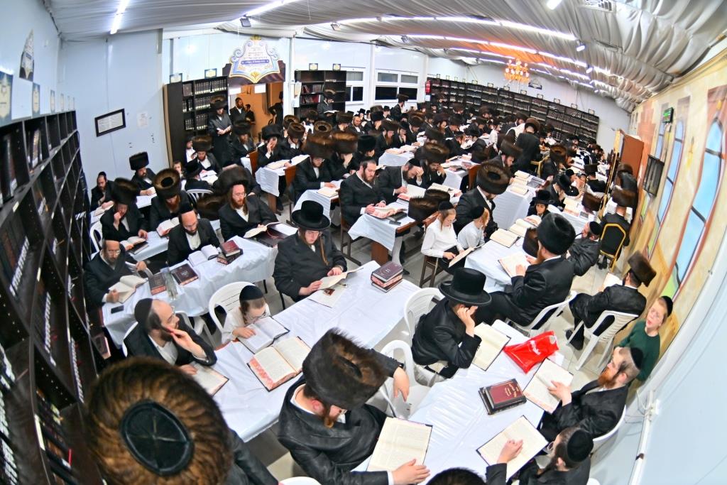 סוכות בחצר הקודש ספינקא בית שמש
