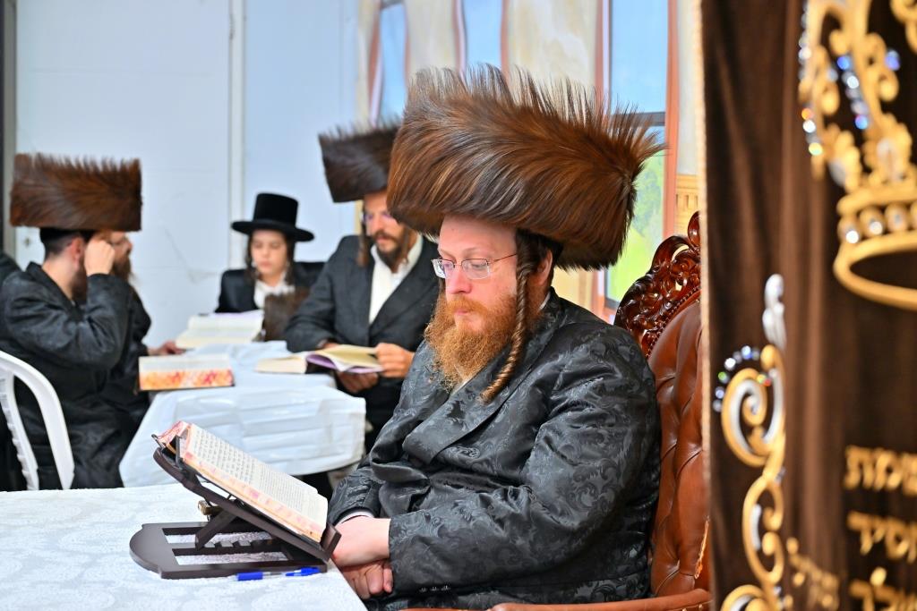 סוכות בחצר הקודש ספינקא בית שמש