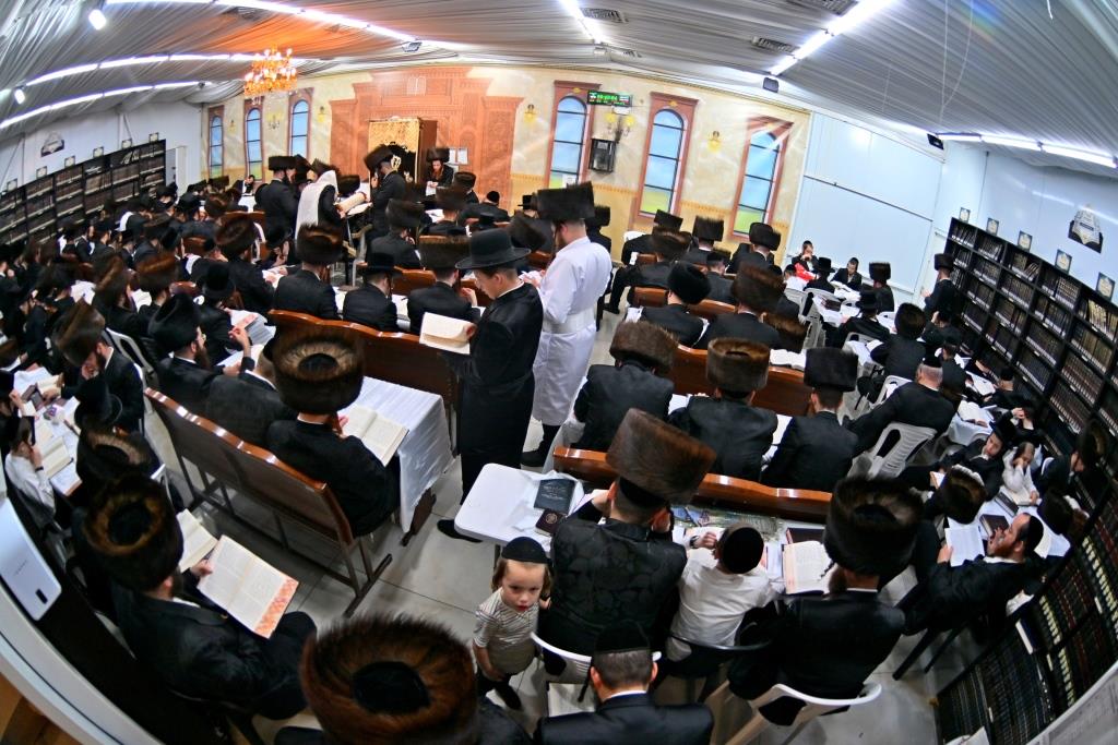 סוכות בחצר הקודש ספינקא בית שמש