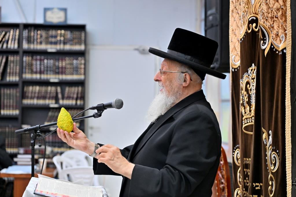 סוכות בחצר הקודש ספינקא בית שמש