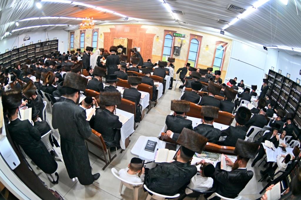 סוכות בחצר הקודש ספינקא בית שמש