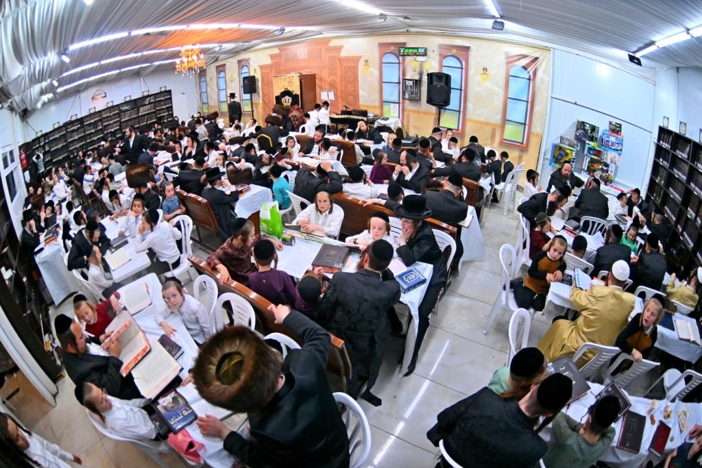 סוכות בחצר הקודש ספינקא בית שמש