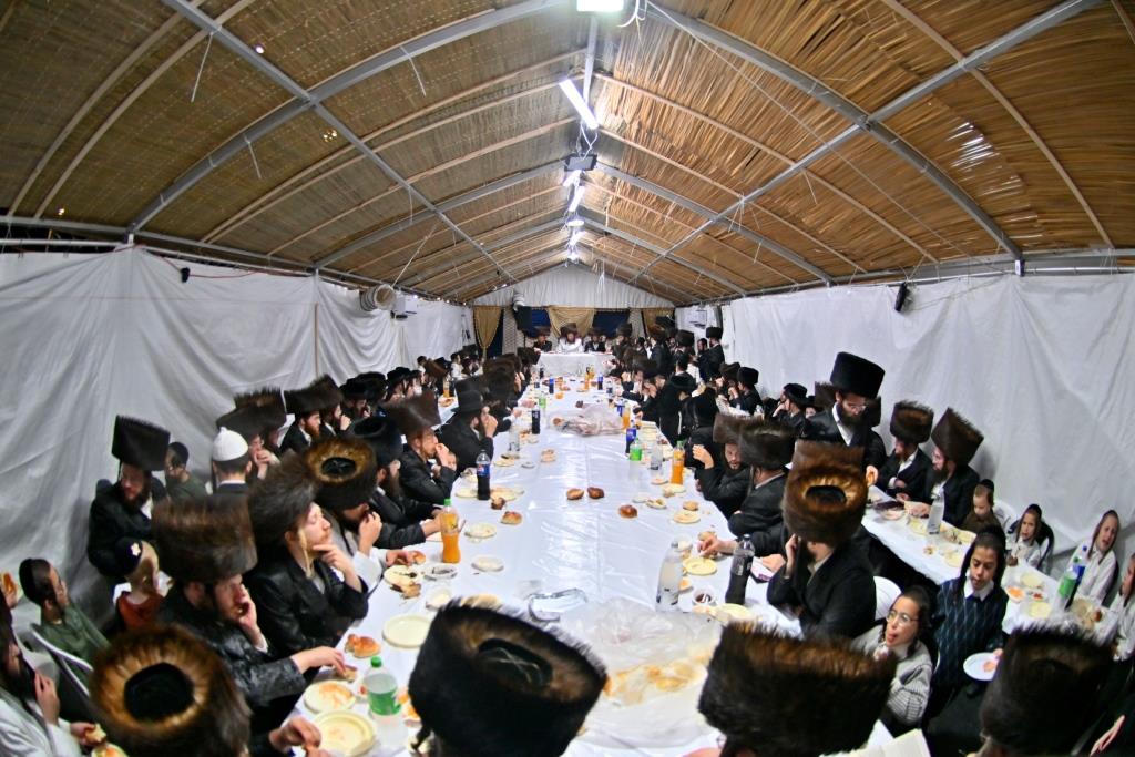 סוכות בחצר הקודש ספינקא בית שמש