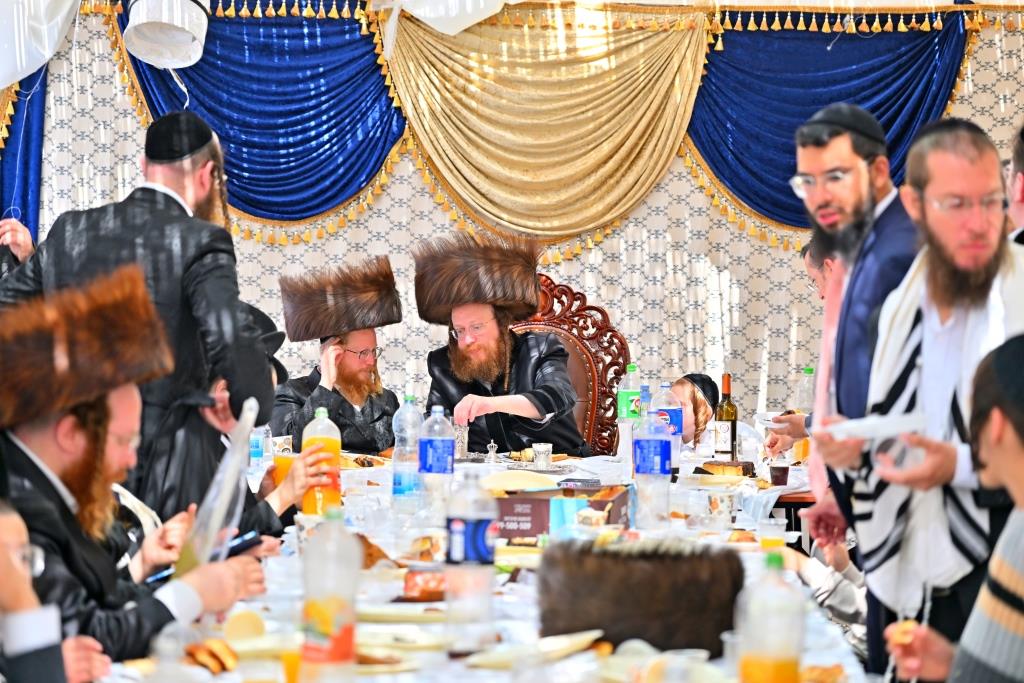 סוכות בחצר הקודש ספינקא בית שמש