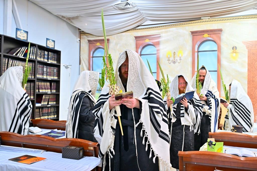 סוכות בחצר הקודש ספינקא בית שמש