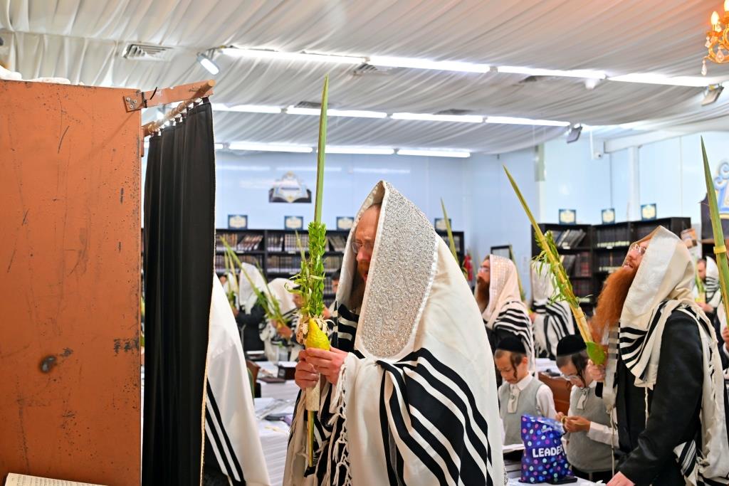 סוכות בחצר הקודש ספינקא בית שמש