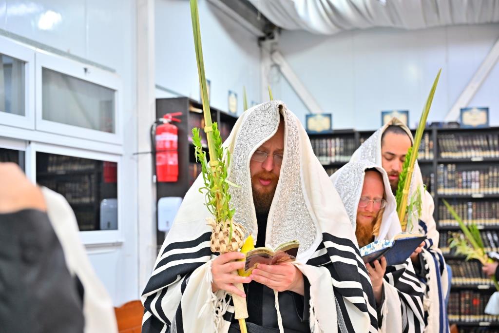 סוכות בחצר הקודש ספינקא בית שמש