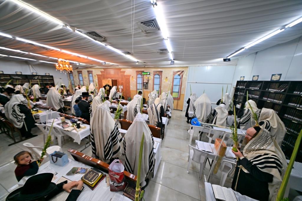 סוכות בחצר הקודש ספינקא בית שמש