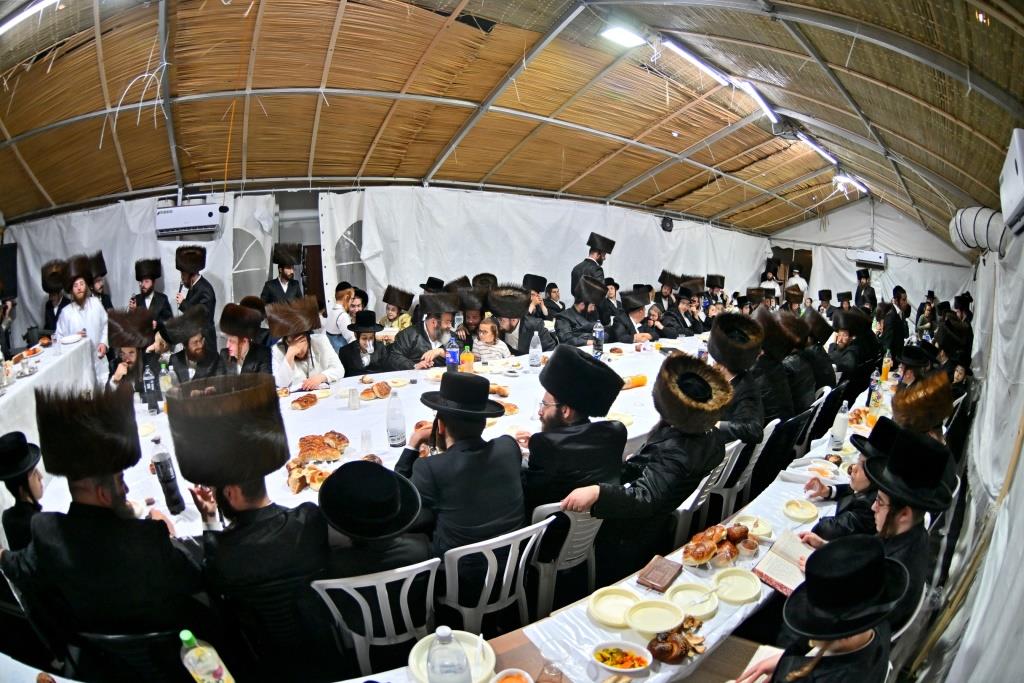 סוכות בחצר הקודש ספינקא בית שמש
