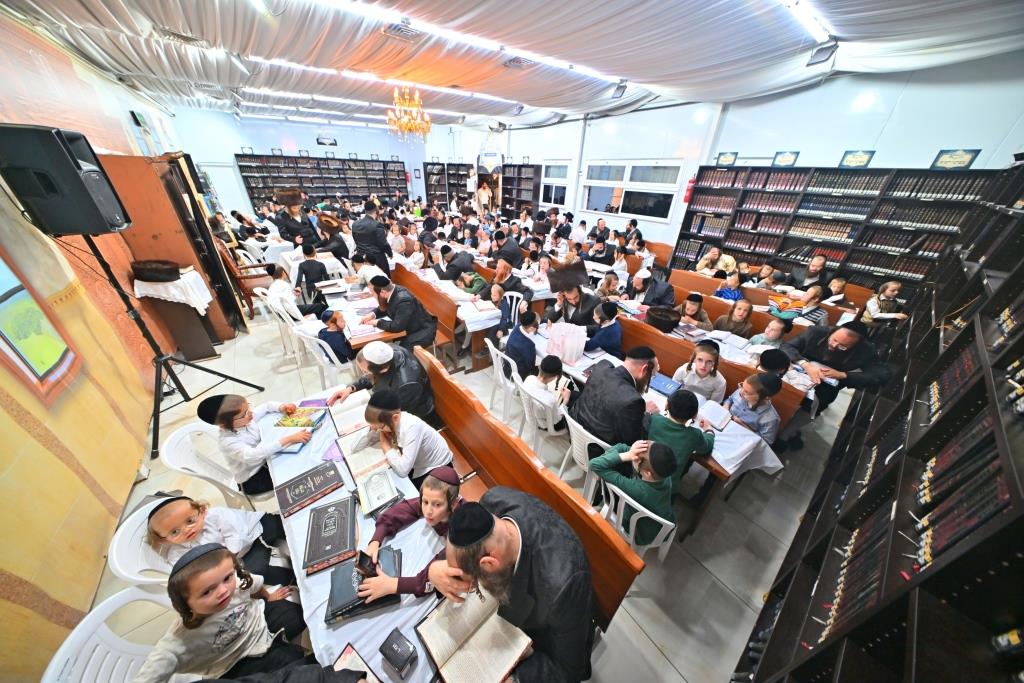 סוכות בחצר הקודש ספינקא בית שמש