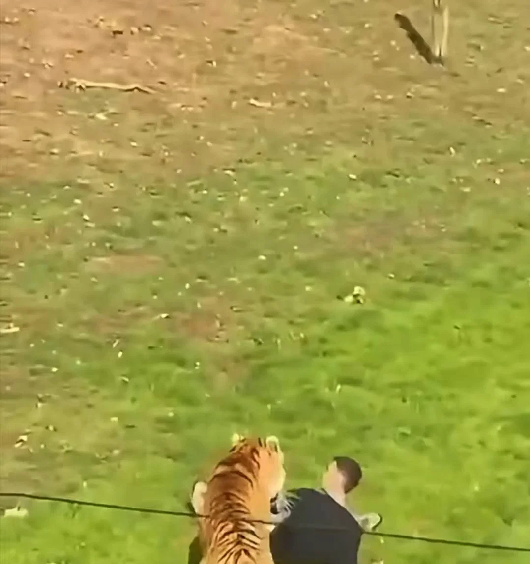 תיעד את עצמו דקות לפני שהותקף: סרטון חדש מהתקרית הקטלנית 