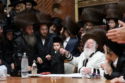 שמחת החלאקה לנכד האדמו"ר מפרמישלאן