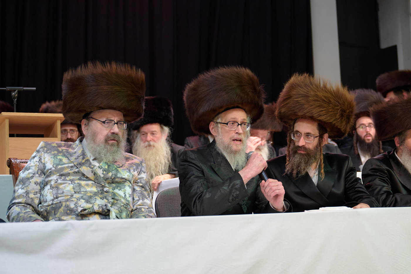 פדיון פטר חמור בלונדון