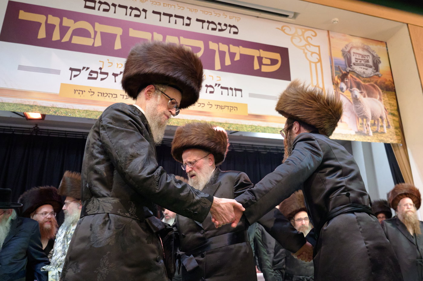 פדיון פטר חמור בלונדון