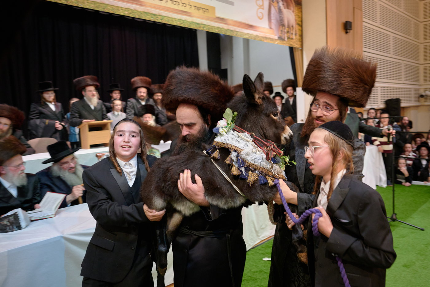 פדיון פטר חמור בלונדון