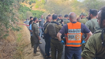 הזירה בצפון