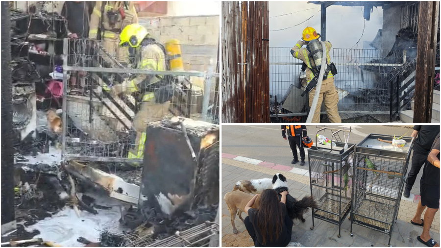 ארבעה כלבים ושני תוכים חולצו משריפה בבית קרקע | נפתחה חקירה • תיעוד