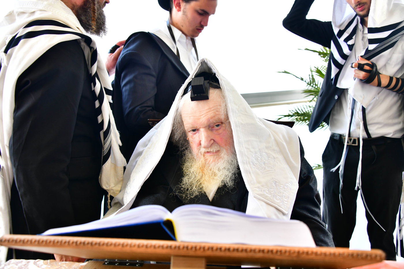 הגר"מ שטרנבוך בתפילת שחרית בנתניה