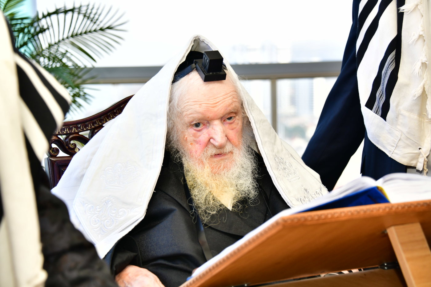 הגר"מ שטרנבוך בתפילת שחרית בנתניה