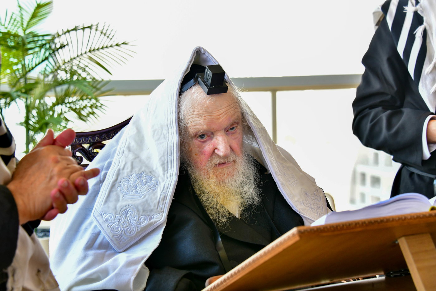 הגר"מ שטרנבוך בתפילת שחרית בנתניה