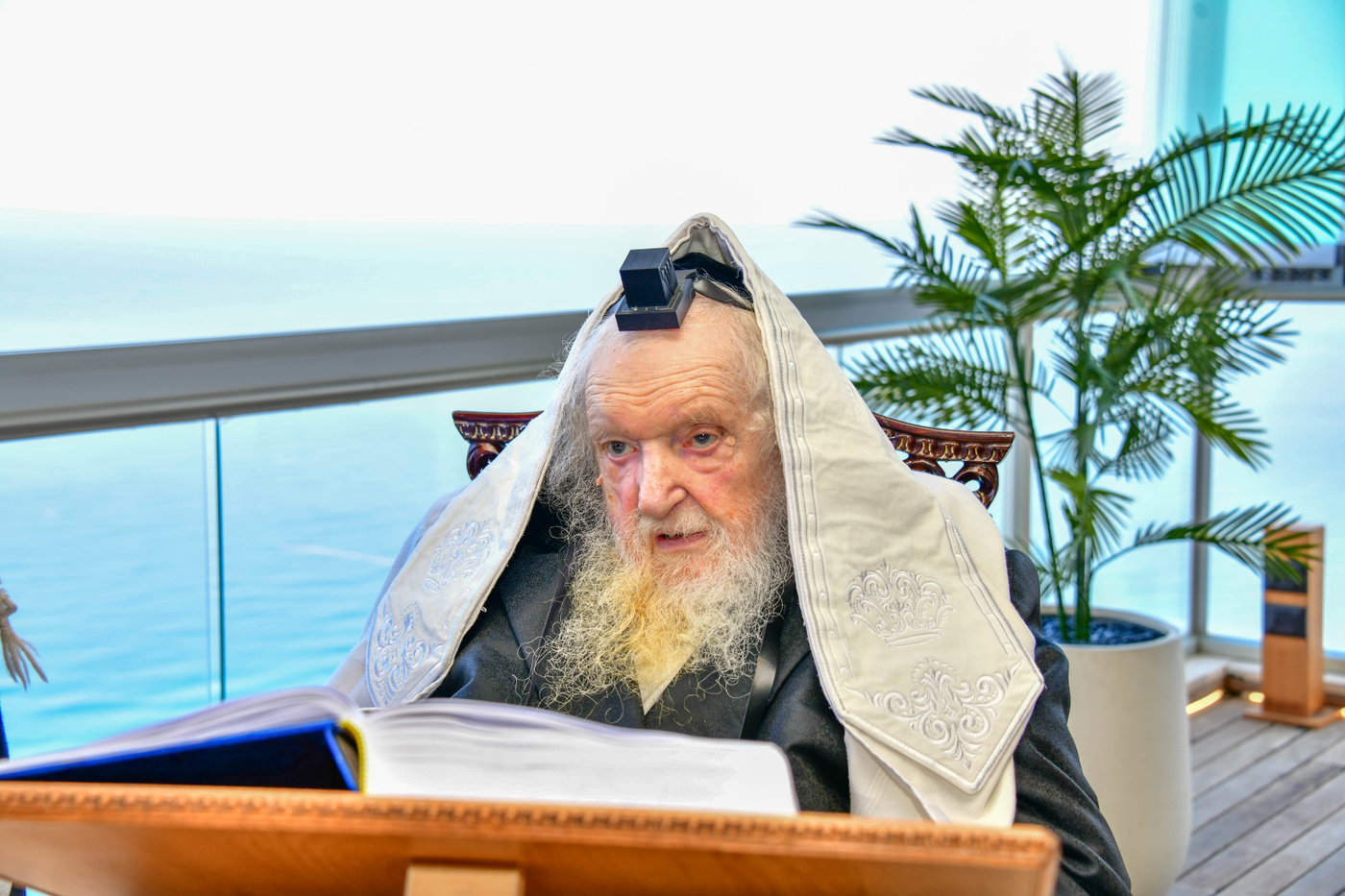 הגר"מ שטרנבוך בתפילת שחרית בנתניה